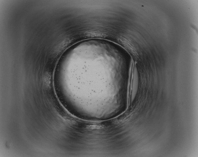 X0000091240255200708301545