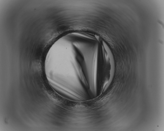 X0000091240256200708301545