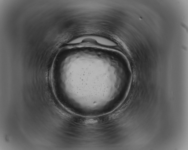 X0000091240257200708301545