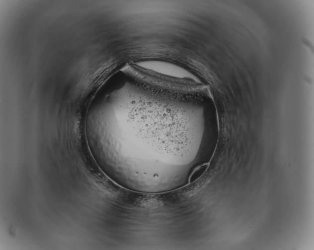 X0000091240258200708301545