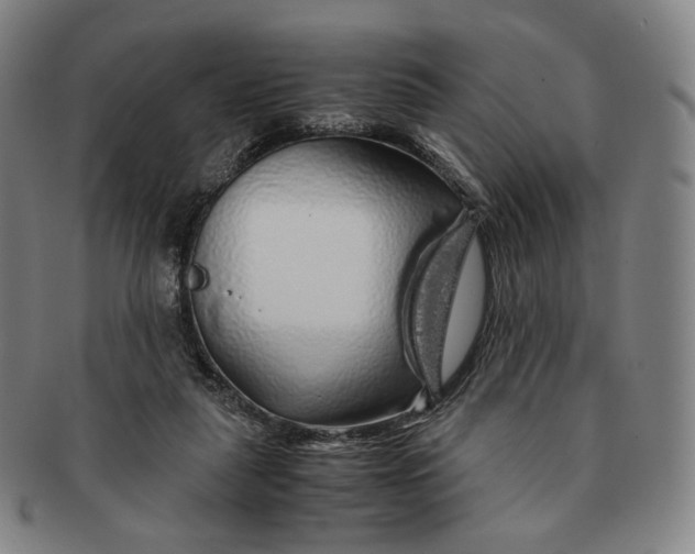 X0000091240259200708301545