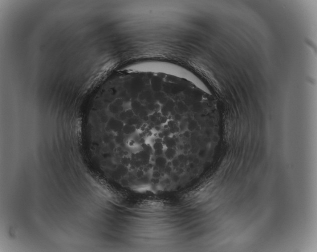 X0000091240260200708301545