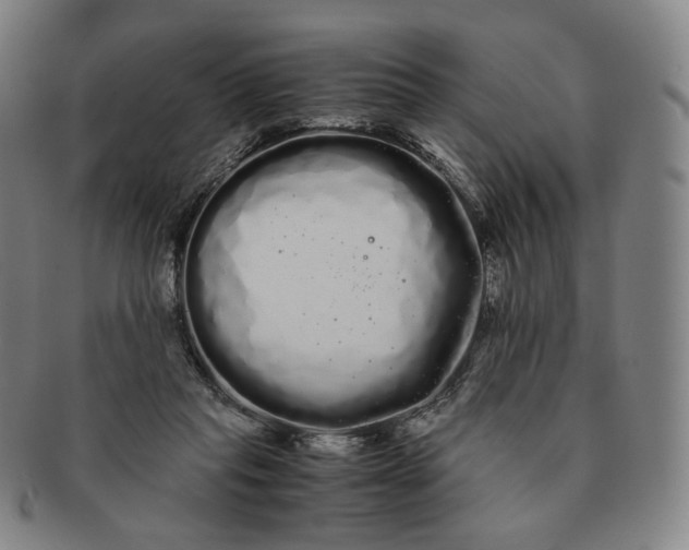 X0000091240261200708301545