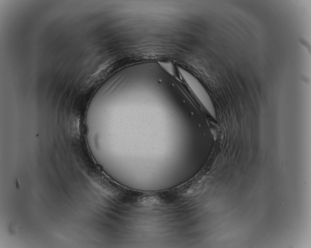 X0000091240262200708301545