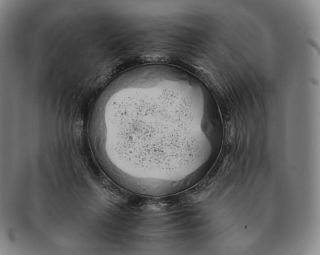 X0000091240263200708301545