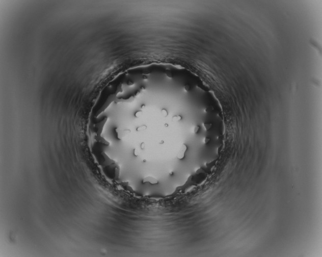 X0000091240264200708301546