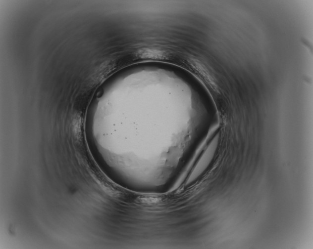 X0000091240265200708301546