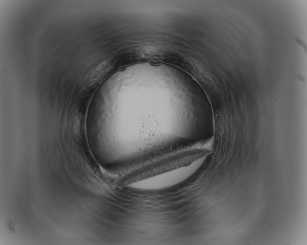 X0000091240266200708301546