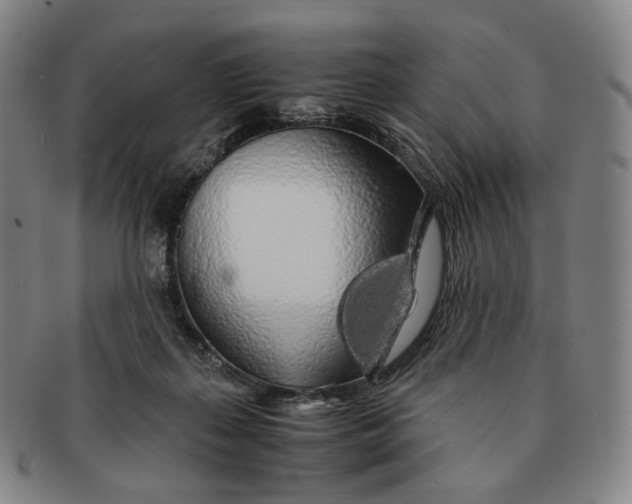 X0000091240267200708301546