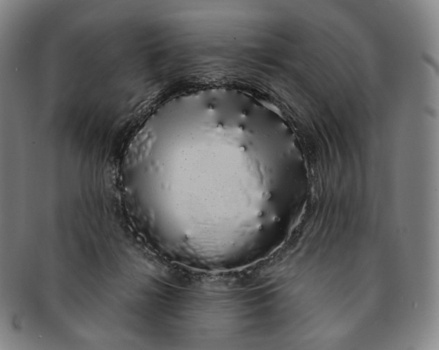 X0000091240268200708301546