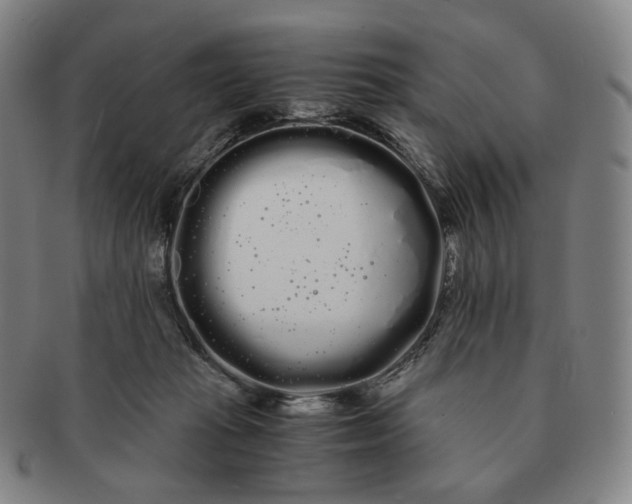 X0000091240269200708301546