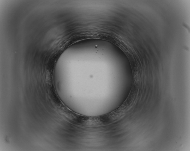 X0000091240270200708301546