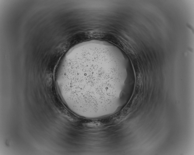 X0000091240271200708301546