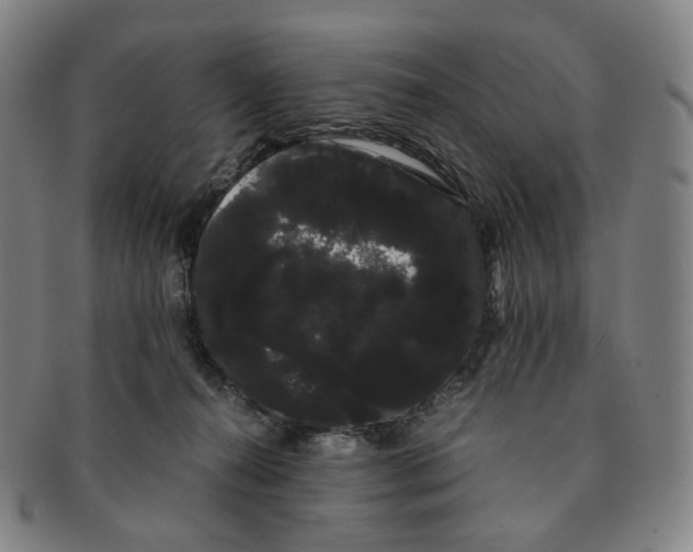 X0000091240272200708301546