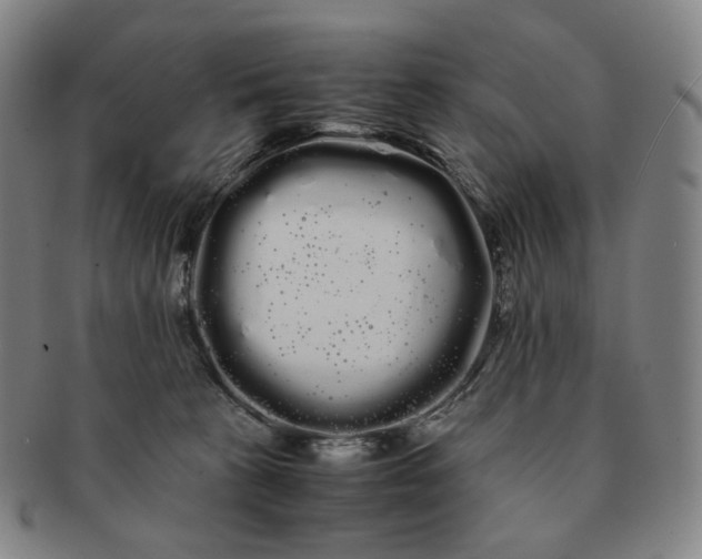 X0000091240273200708301546