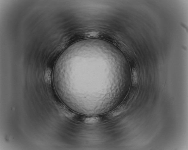 X0000091240274200708301546