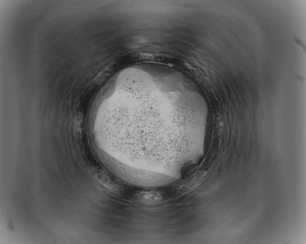 X0000091240275200708301546