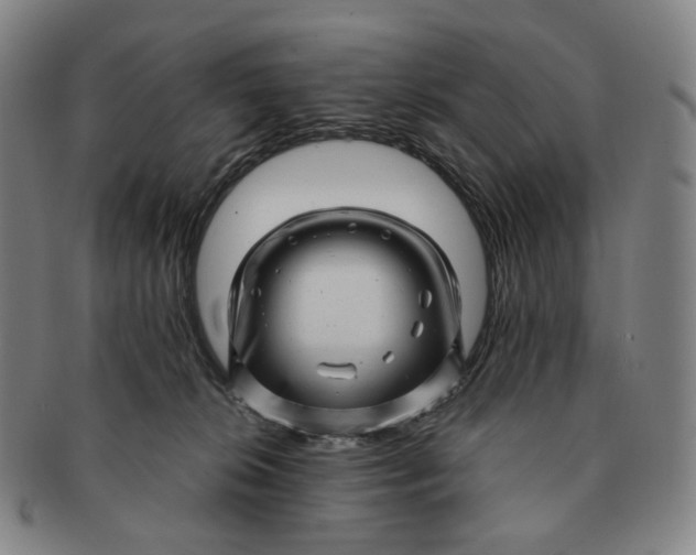 X0000091240276200708301546