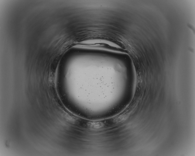 X0000091240277200708301546