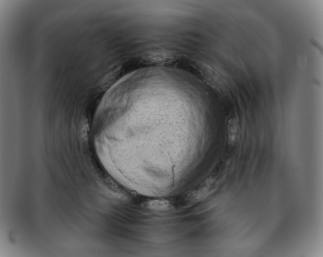 X0000091240279200708301546