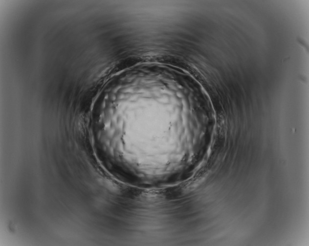 X0000091240280200708301546