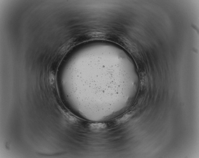 X0000091240281200708301546