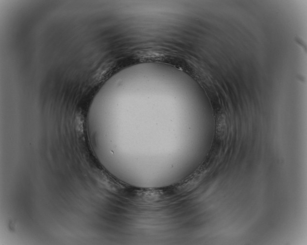 X0000091240282200708301546