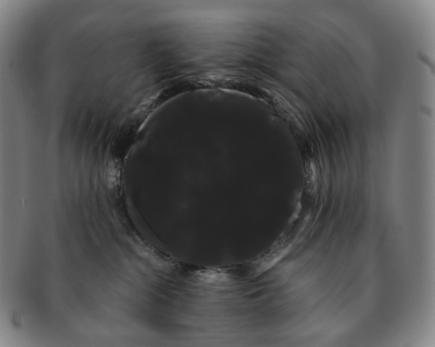 X0000091240284200708301546