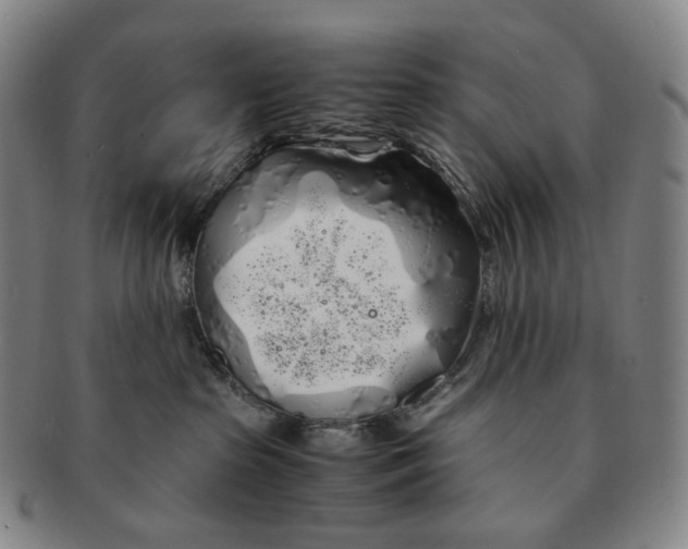 X0000091240285200708301546