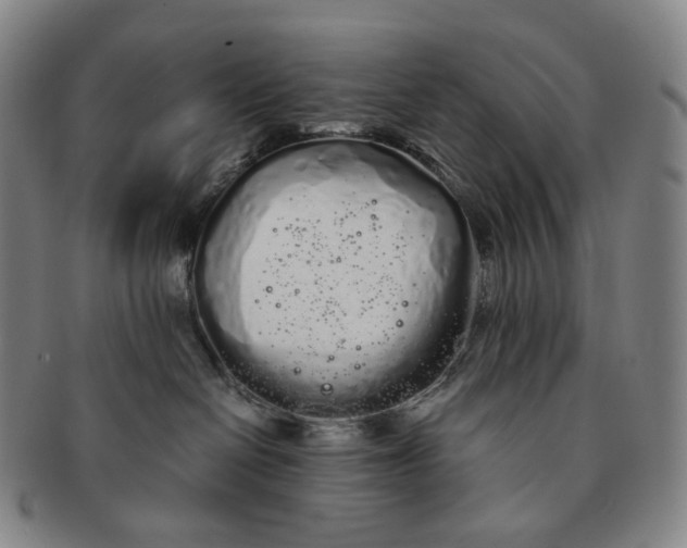 X0000091240286200708301546