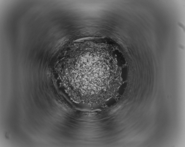 X0000091240288200708301546