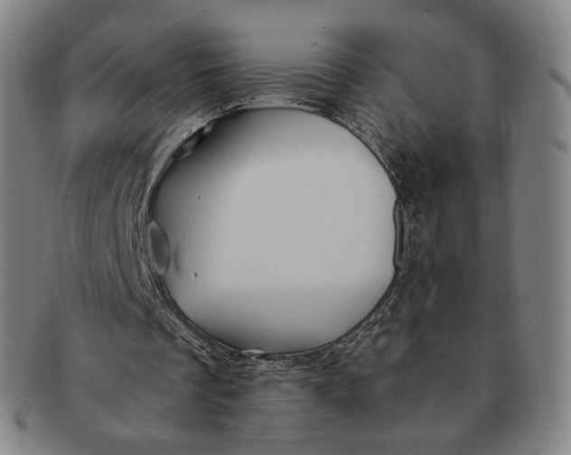 X0000091240289200708301545