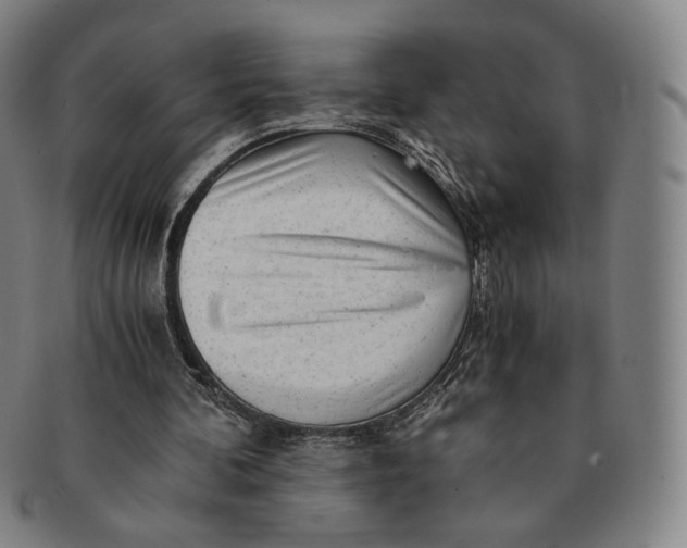 X0000091240292200708301545