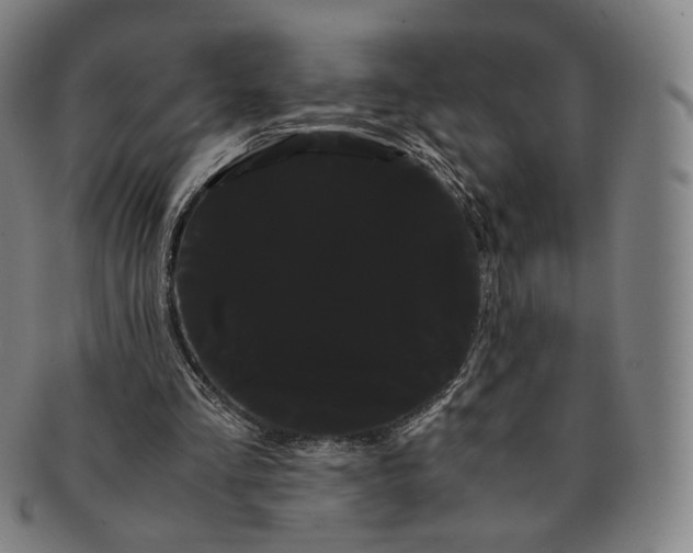 X0000091240293200708301545