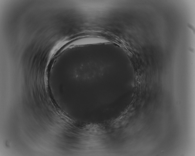 X0000091240294200708301545