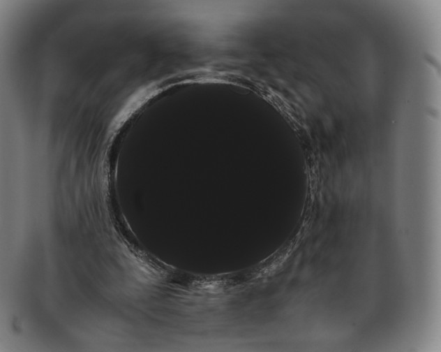 X0000091240295200708301545