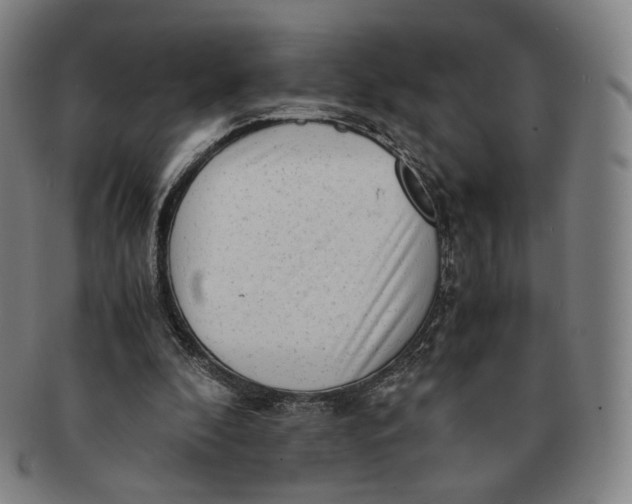 X0000091240296200708301545