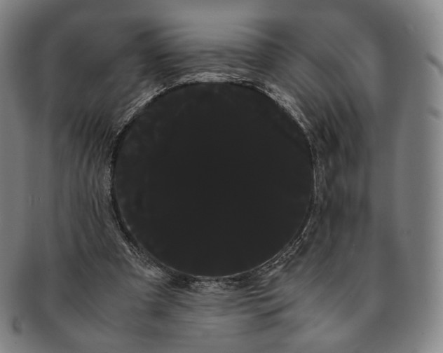 X0000091240297200708301545