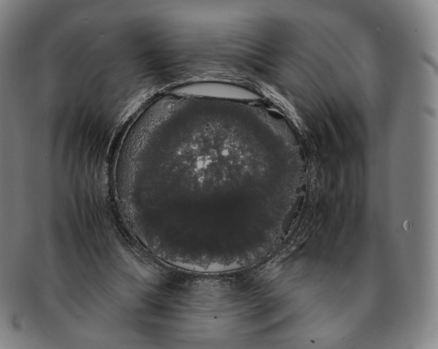 X0000091240298200708301545