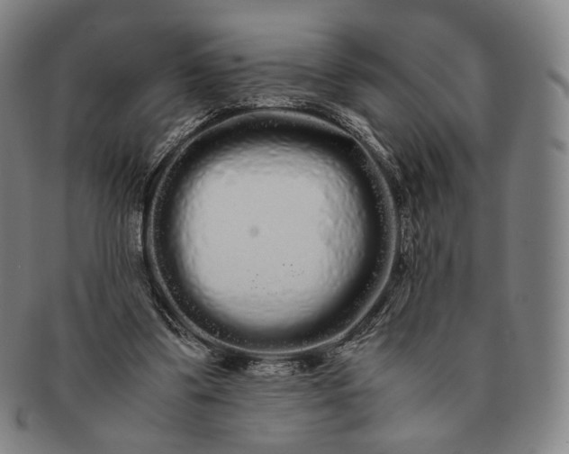 X0000091240299200708301545