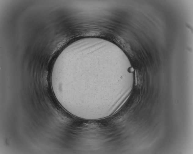 X0000091240300200708301545