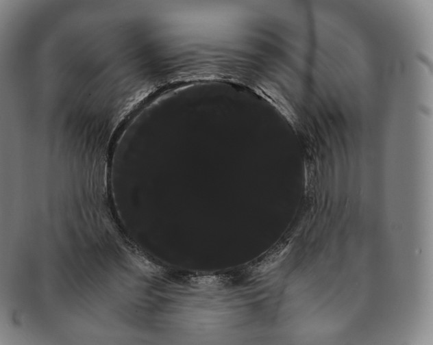 X0000091240301200708301545