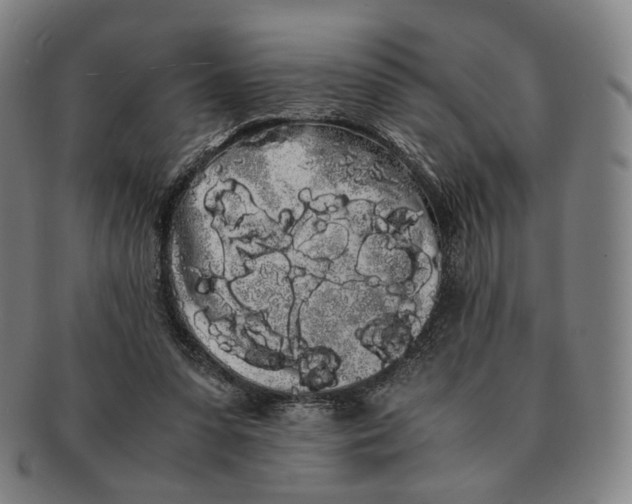 X0000091240303200708301545