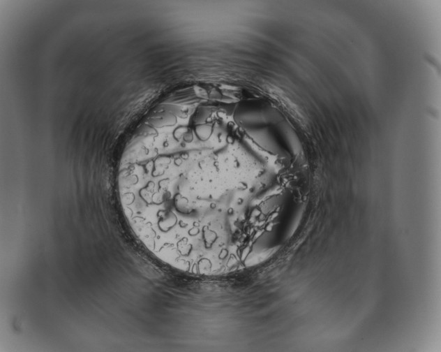 X0000091240305200708301545