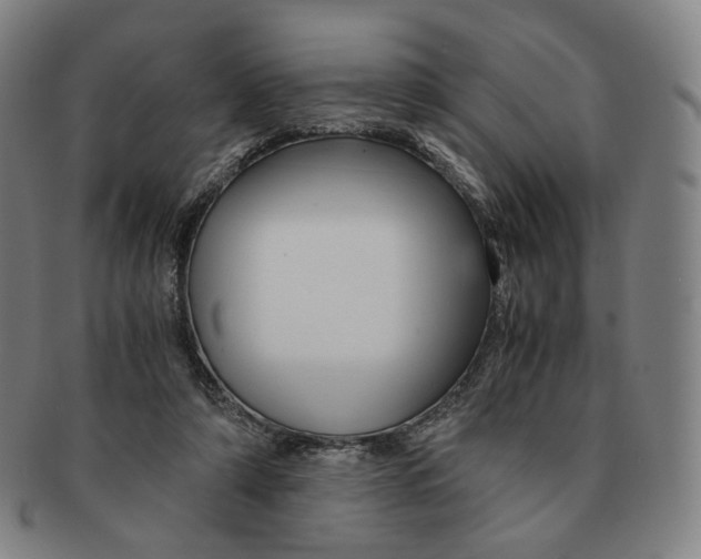 X0000091240306200708301545