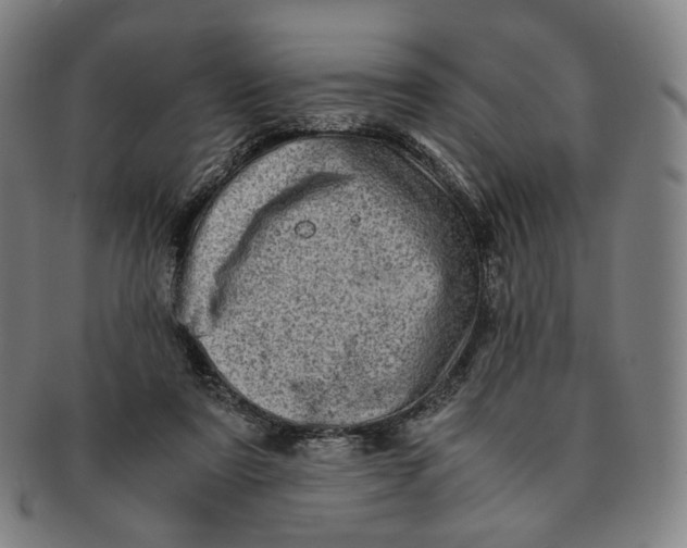 X0000091240307200708301545