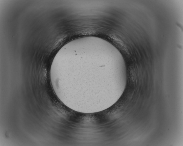 X0000091240308200708301545