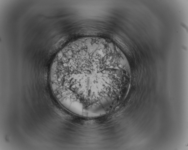 X0000091240309200708301545