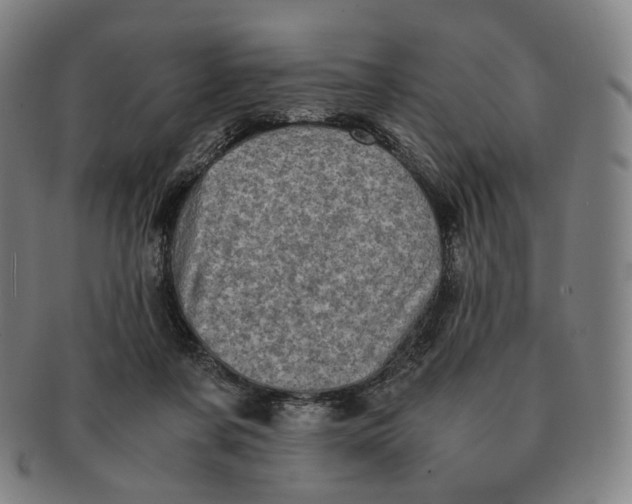 X0000091240311200708301545