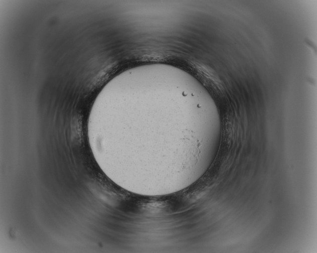 X0000091240312200708301545